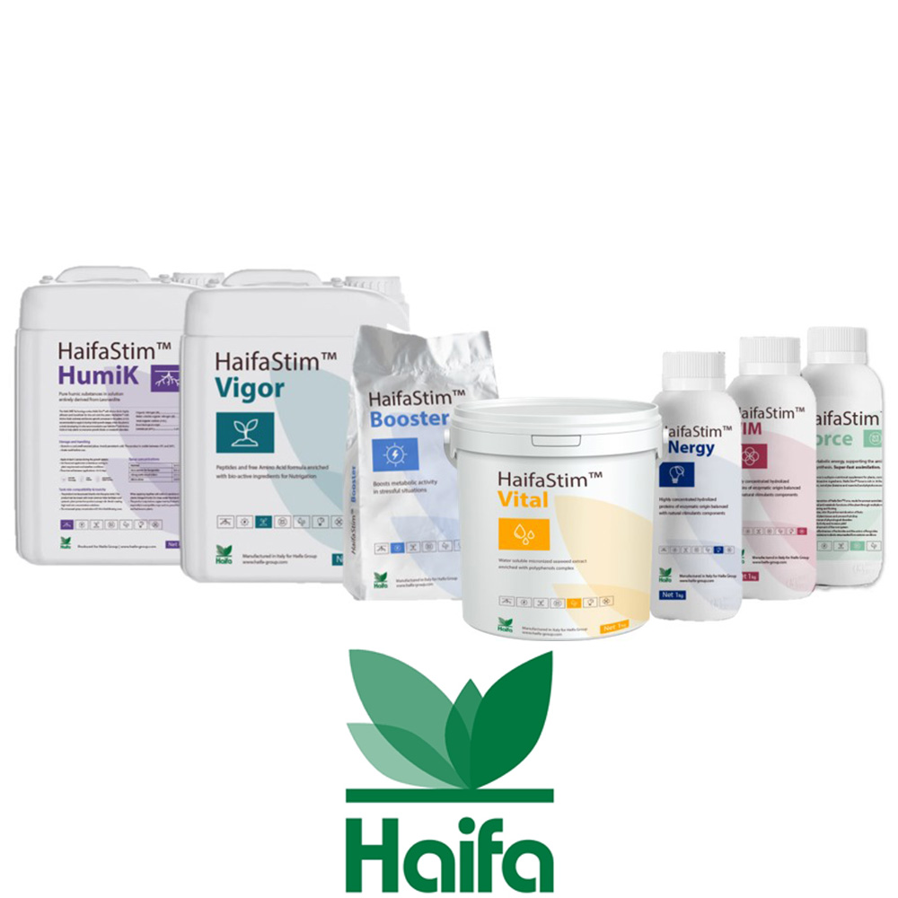HaifaStim™